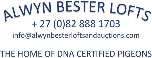 Alwyn Bester Lofts and Auctions